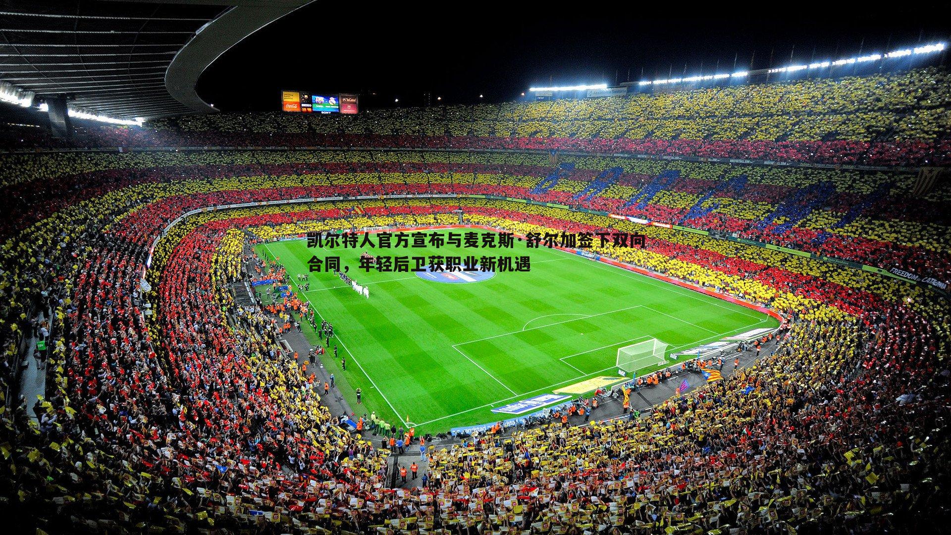 凯尔特人官方宣布与麦克斯·舒尔加签下双向合同，年轻后卫获职业新机遇